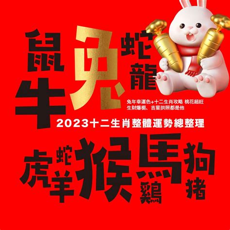 2023十二生肖幸運色|2023生肖助運色彩